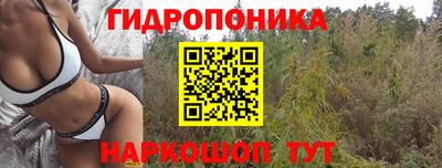 соль курить ск Сланцы