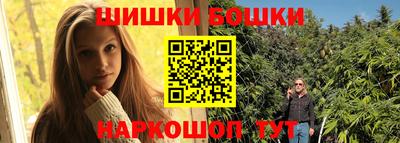 гашик Славгород