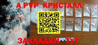 гашик Славгород