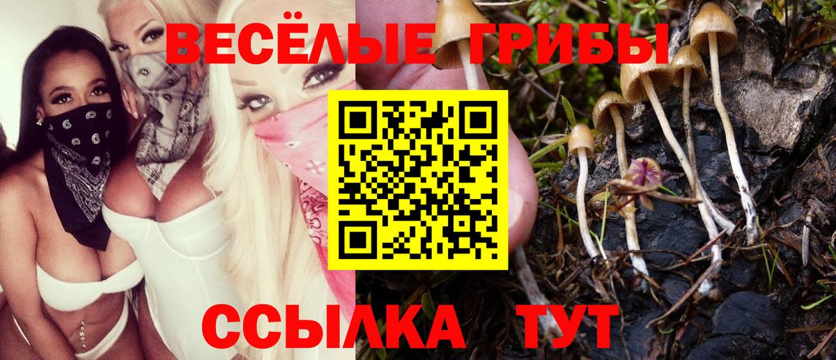 Галлюциногенные грибы Psilocybe  Галлюциногенные грибы Magic Shrooms  Вход с VPN  Озёры 