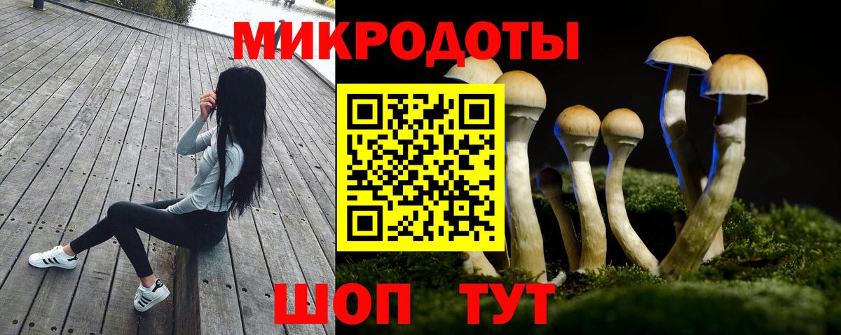 Псилоцибиновые грибы GOLDEN TEACHER Озёры