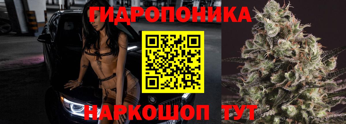 Каннабис сатива Озёры